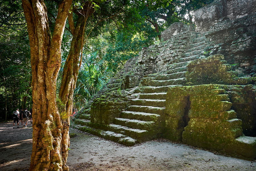 Mayan Photograph - Ancient Maya Ruins, Tikal National #2 by Jan Wlodarczyk