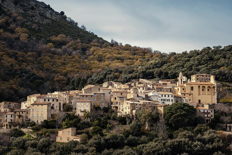 Ancient mountain village of Muro in Corsica Photograph by Jon Ingall ...