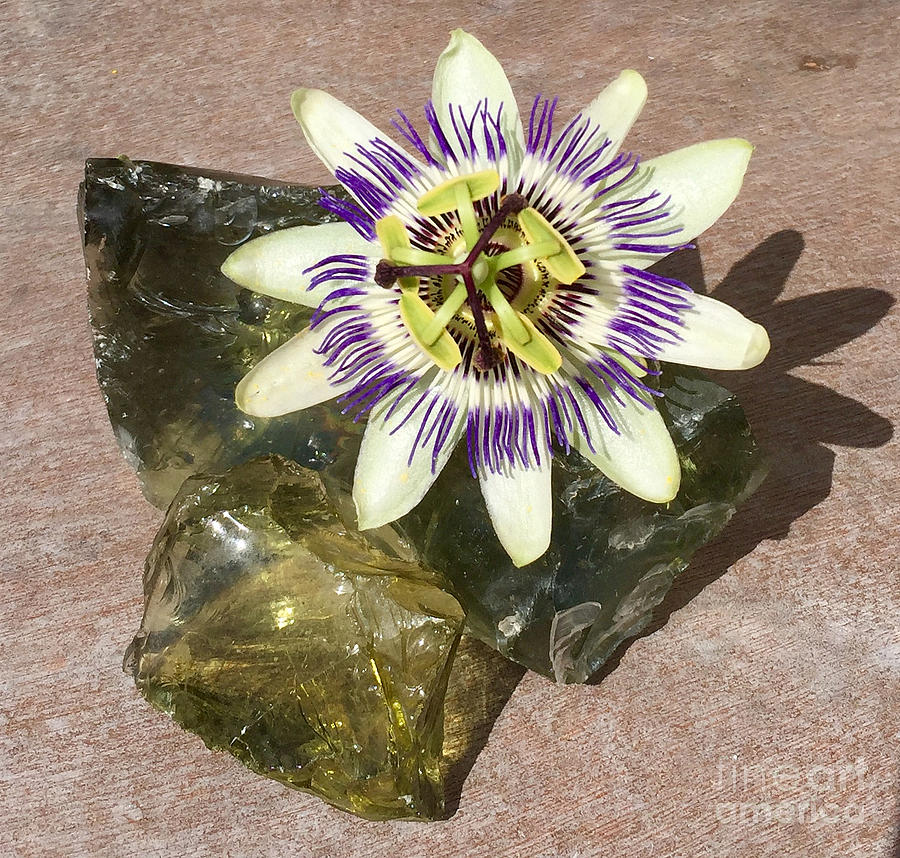 Andara Crystalline Creation by Nathalie DAOUT Andara Crystalline Creation by Nathalie DAOUT