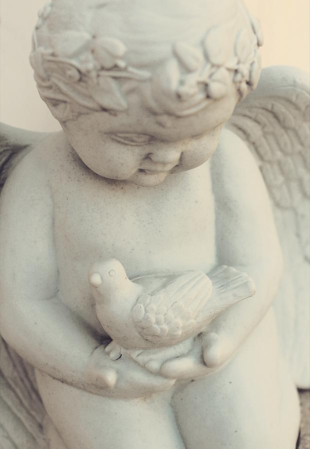 Angel Holding a Dove... #2 Photograph by The Art Of Marilyn Ridoutt-Greene