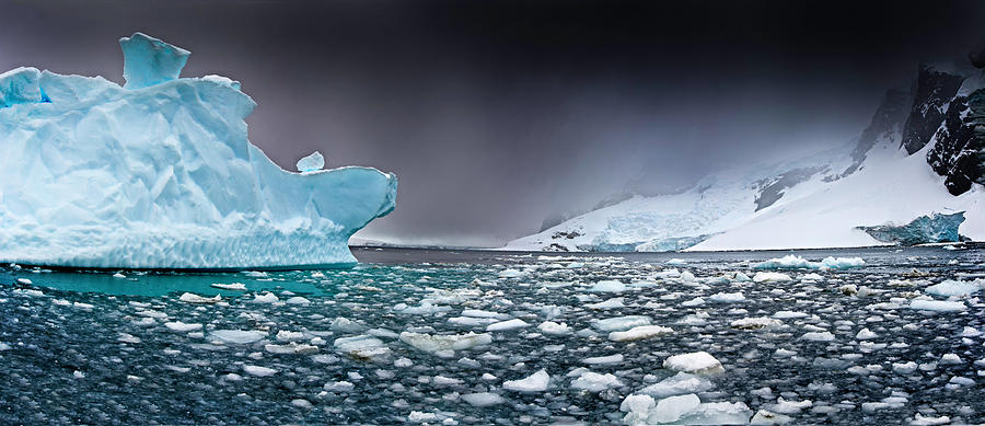 Antarctica #2 Photograph by Michael Leggero
