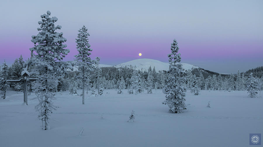 Arctic super wolf moon #2 Photograph by Anatole Beams