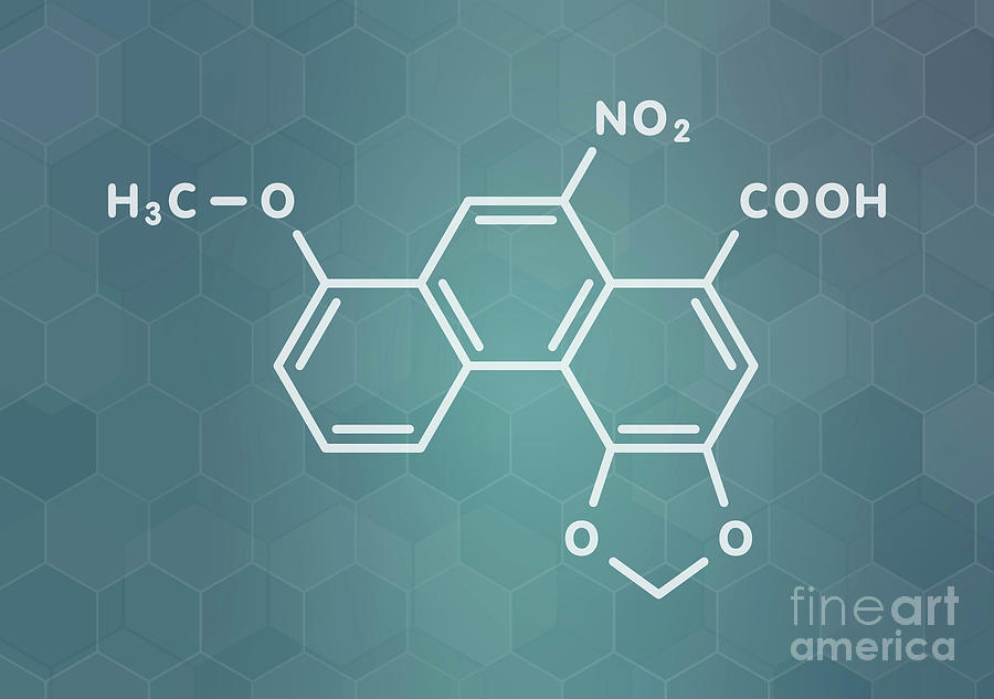 Aristolochic Acid Plant Poison Molecule Photograph By Molekuul/science ...