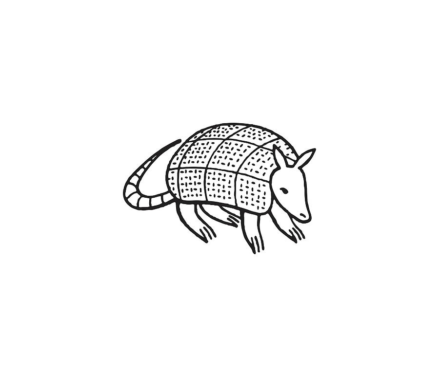 Black And White Drawing - Armadillo #2 by CSA Images