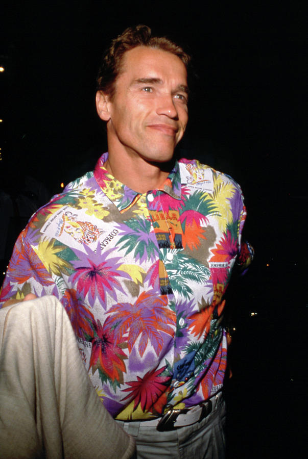 Arnold Schwarzenegger #2 Photograph by Mediapunch