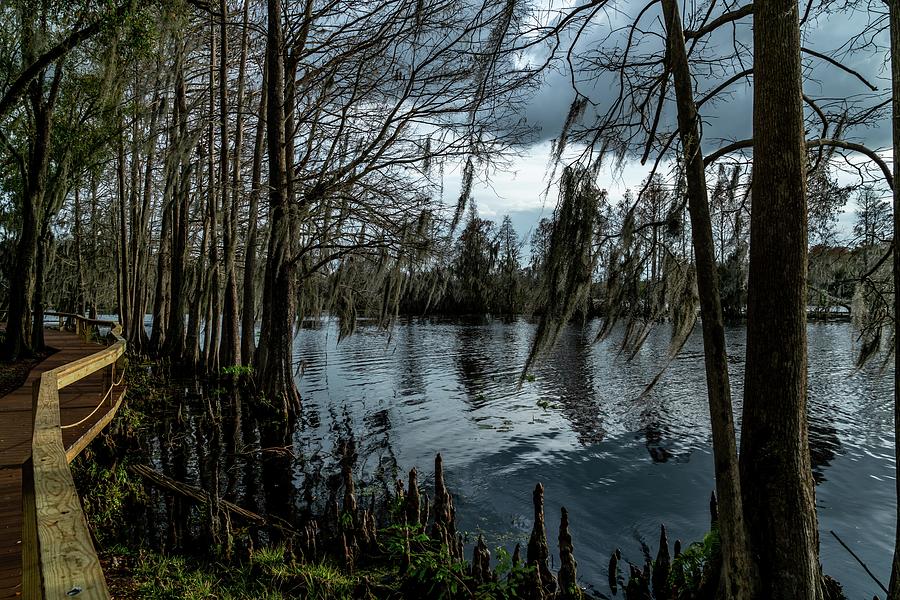 Water Photograph - Around The Park by Ric Schafer Water Photograph - Around The Park by Ric Schafer