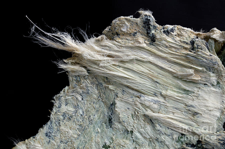 Asbestos Sample #2 Photograph by Pascal Goetgheluck/science Photo Library