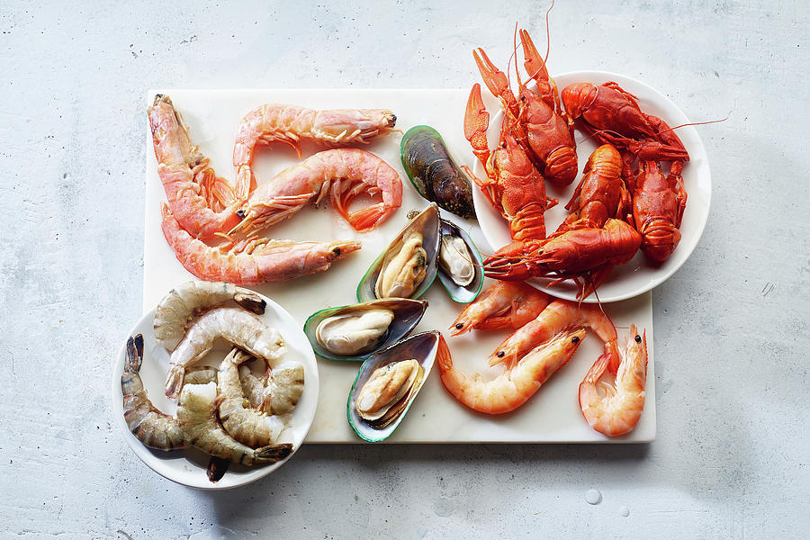 Assortment Of Various Raw Seafood - Shrimps, Kiwi Mussels, Squid And Crawfish #2 Photograph by Anastasiia Nurullina