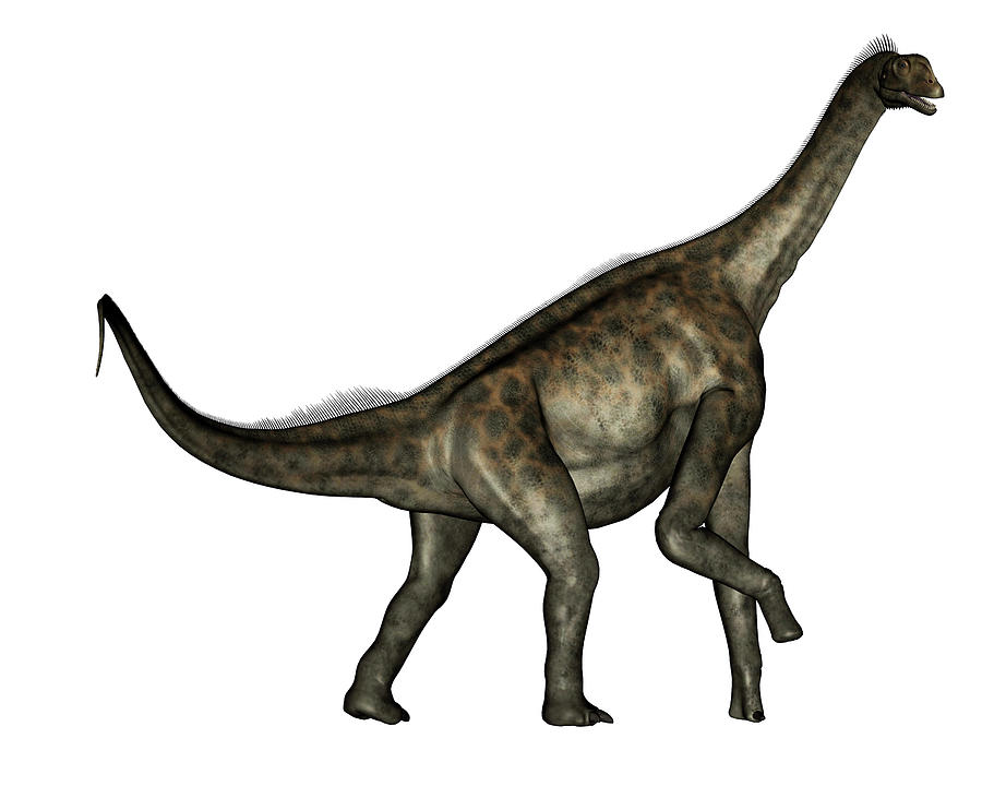 Atlasaurus Dinosaur Walking, Side View Photograph by Elena Duvernay ...