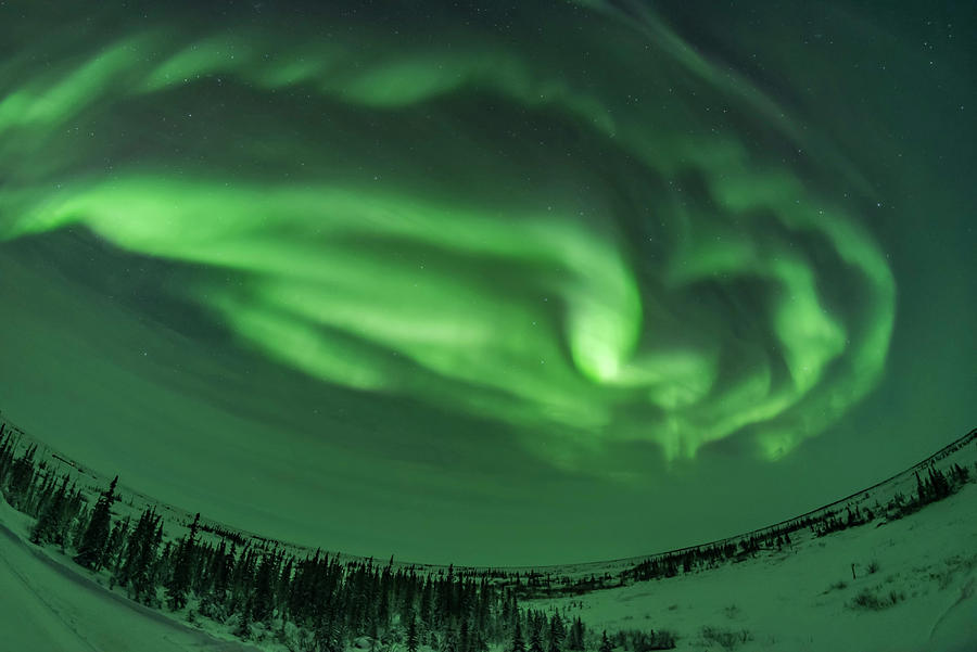 Auroral Arcs, Loops And Swirls #2 Photograph by Alan Dyer