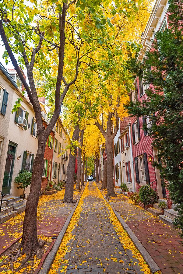 Tree Photograph - Autumn Alleyway In A Traditional #2 by Sean Pavone