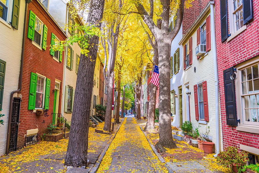 Tree Photograph - Autumn Alleyway In Philadelphia #2 by Sean Pavone