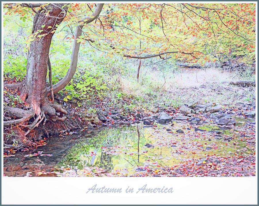 Autumn in America #2 Digital Art by A Macarthur Gurmankin