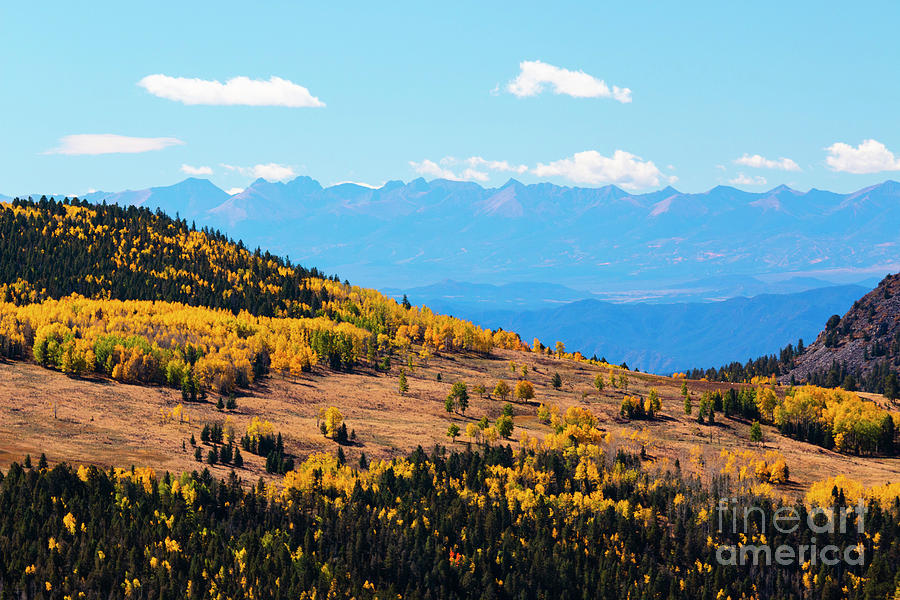 Autumn in the Pike National Forest of Colorado #2 Photograph by Steven Krull