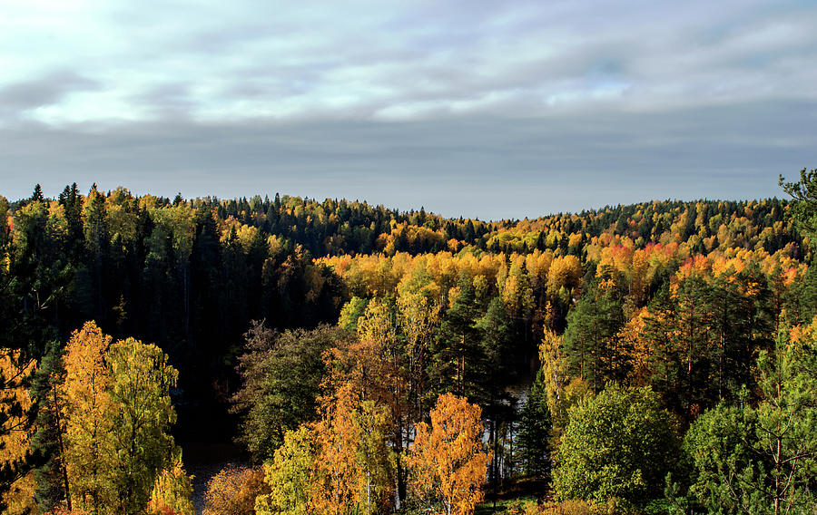 Autumn Landscape #2 Photograph by Jarmo Honkanen