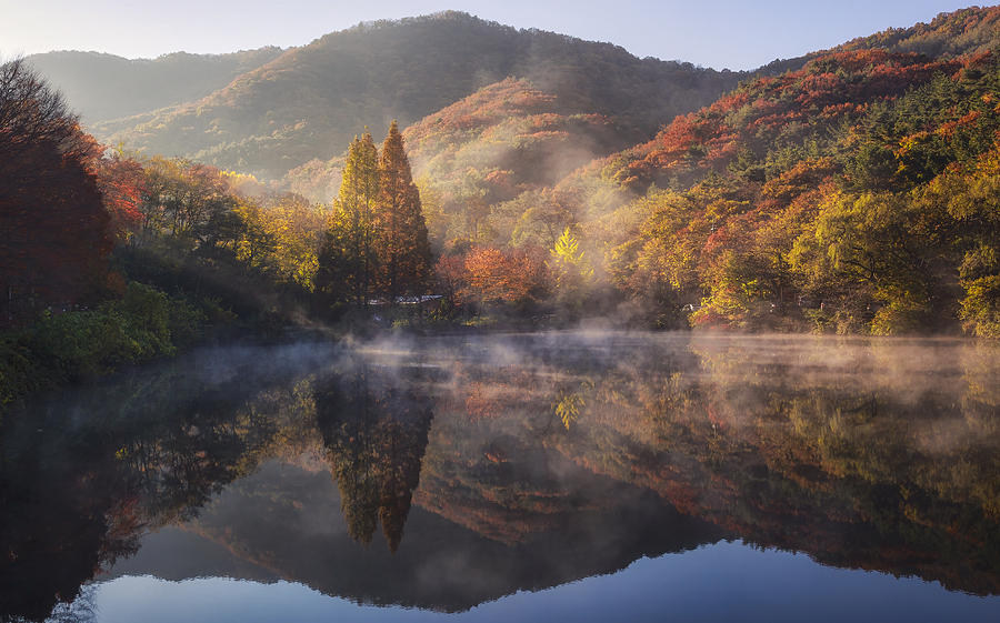 Tree Photograph - Autumn Morning #2 by Tiger Seo