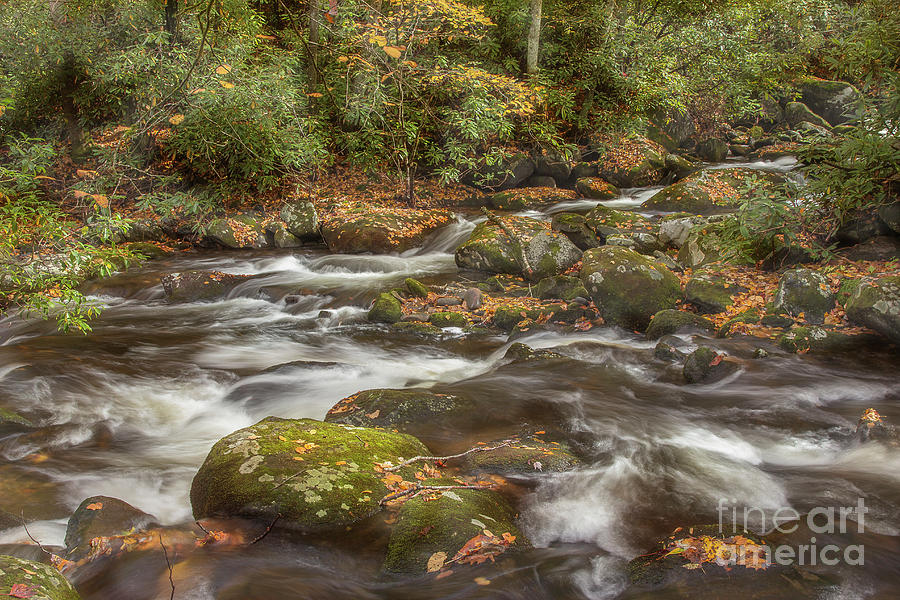 Autumn Mountain Stream #2 Photograph by Mike Eingle