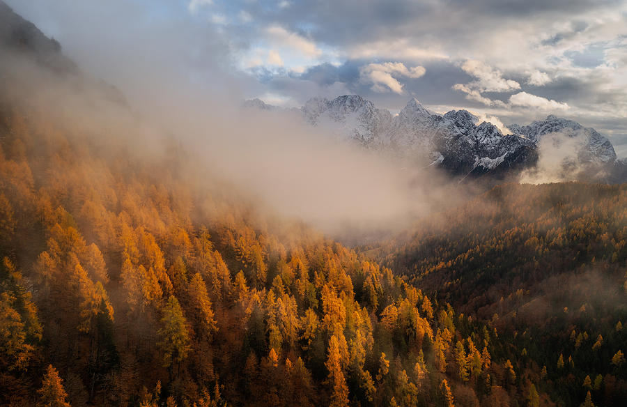 Winter Photograph - Autumn Paradise #2 by Ales Krivec