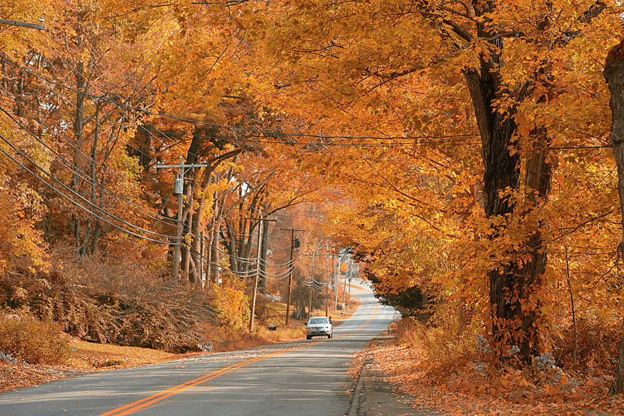 Autumn Scene, Maine, New England #2 Digital Art by Heeb Photos