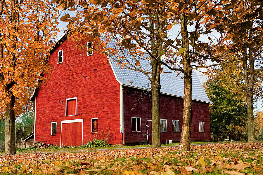Autumn Scene With Red Barn, Vt #2 Digital Art by Claudia Uripos