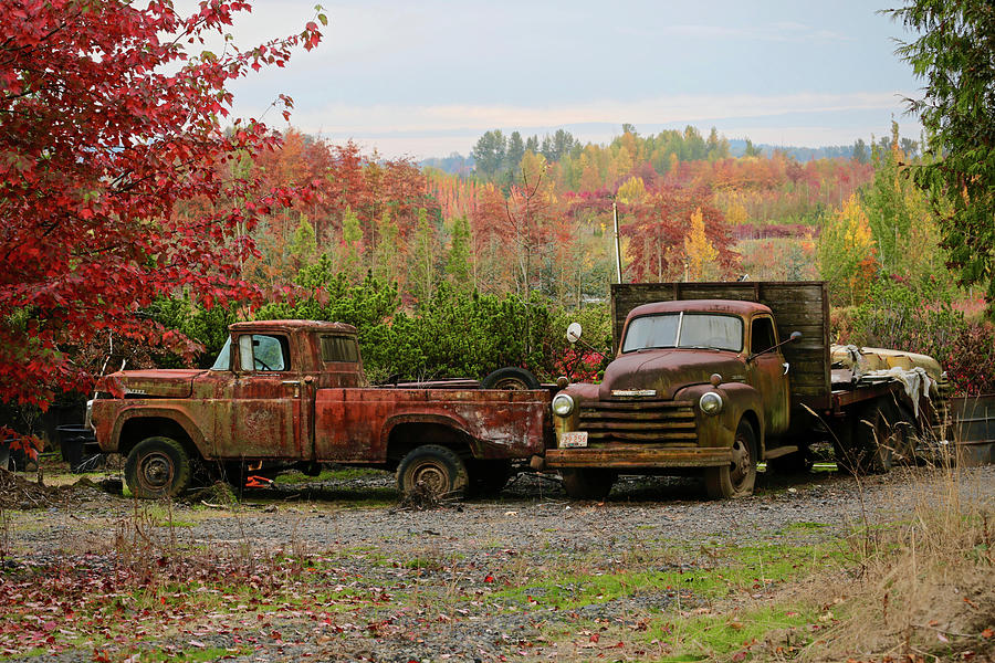 Vintage Photograph - 2 Autumn Vintage Trucks by Susan Vizvary Photography