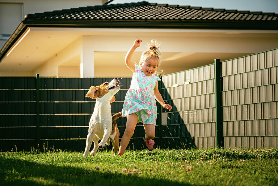 Summer Photograph - Baby Girl Running With Beagle Dog In Backyard In Summer Day. Domestic Animal With Children Concept. #2 by Cavan Images