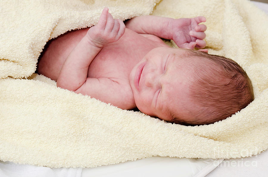 Baby #2 Photograph by Jelena Jovanovic