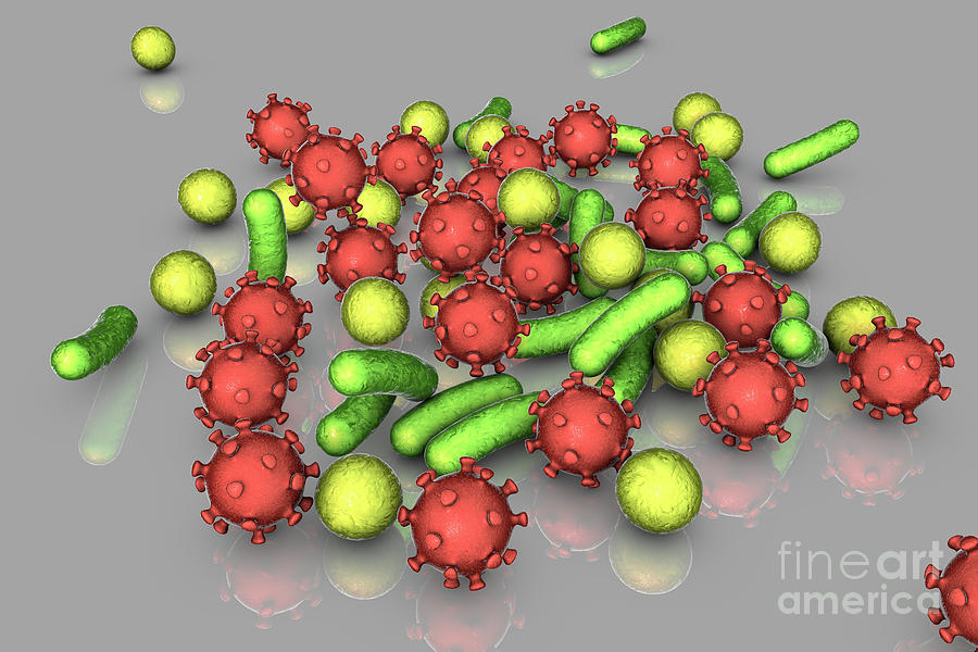 Bacteria Photograph - Bacteria And Viruses #2 by Kateryna Kon/science Photo Library