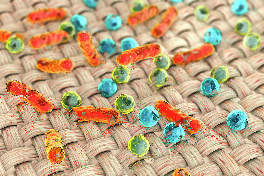 Bacteria On Fabric, Dirty Cloth #2 Photograph by Kateryna Kon