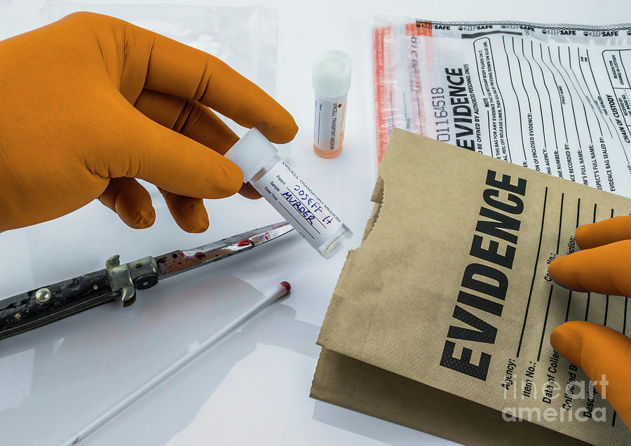 Bagging Forensic Evidence Photograph by Digicomphoto/science Photo ...