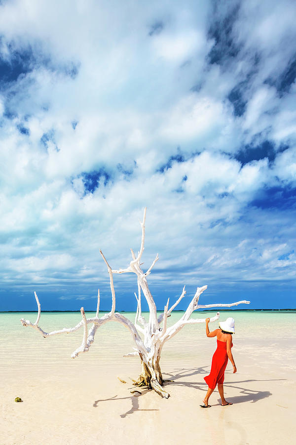 Bahamas, Harbor Island, Caribbean Sea, Atlantic Ocean, Caribbean #2 Digital Art by Pietro Canali