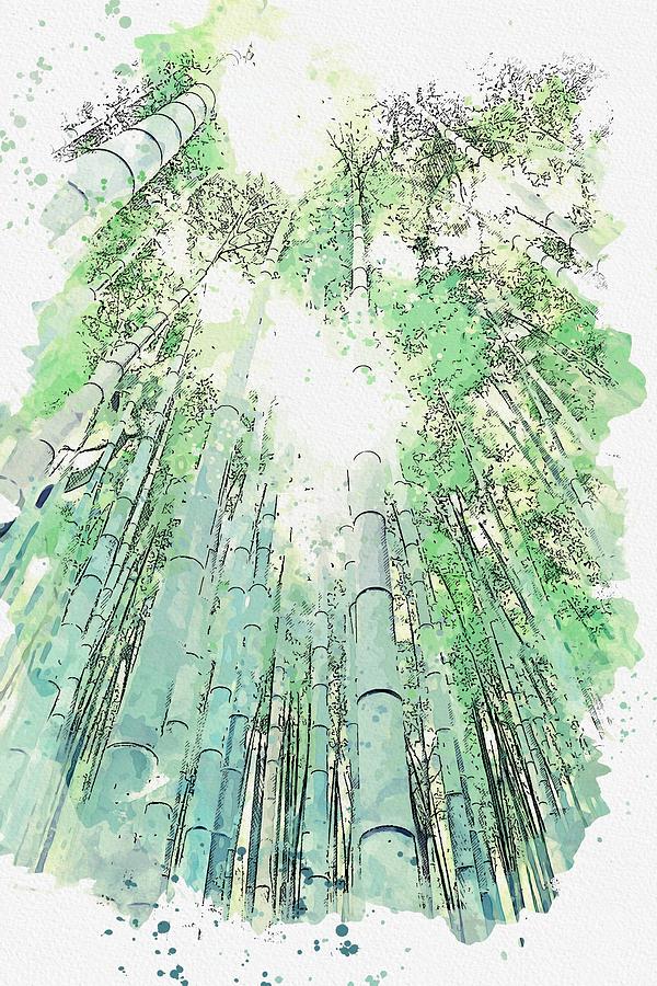 Bamboo Forest Watercolor By Ahmet Asar Painting By Ahmet Asar