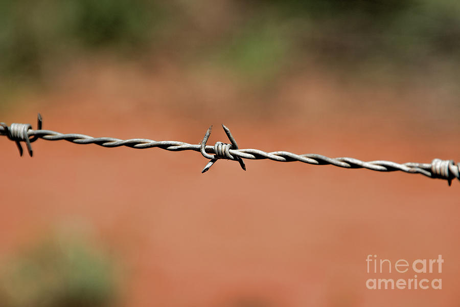 Barbed Wire #2 Photograph by Douglas Barnard