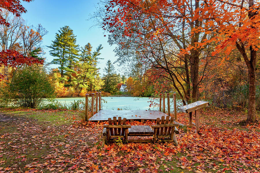 Fall Digital Art - Bayley Arboretum, Bayville Ny #2 by Lumiere