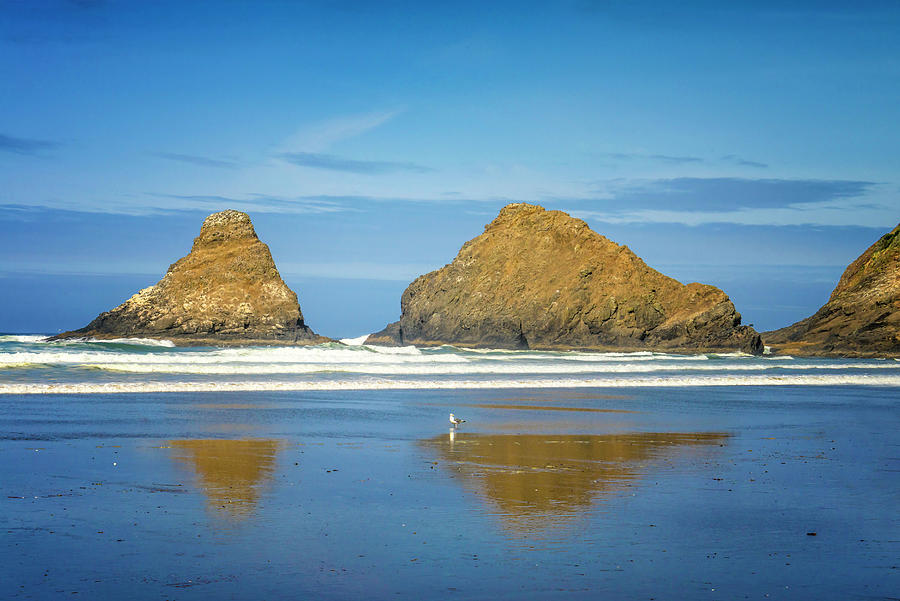 Beach With Rocks, Oregon #2 Digital Art by Joanne Montenegro