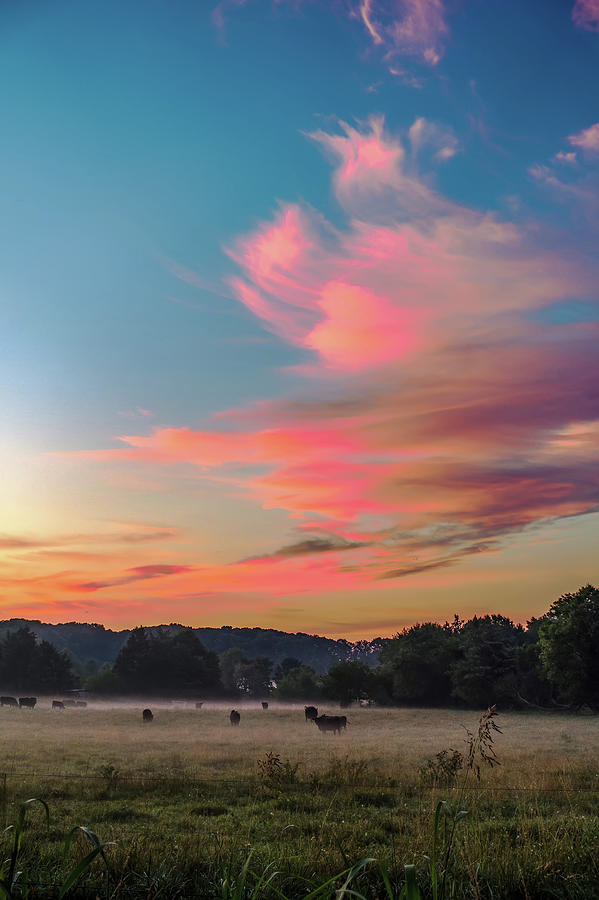 Beautiful Dreamy Sunrise On The Farm Land In The Country #2 Photograph by Alex Grichenko