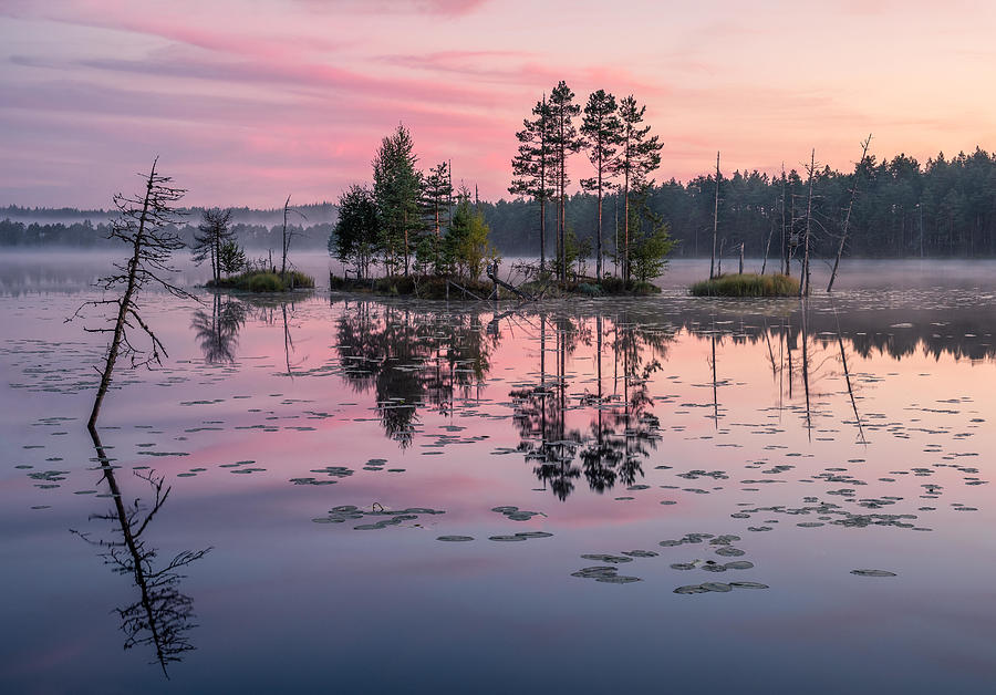Space Photograph - Beautiful Sunrise Landscape With Misty #2 by Jani Riekkinen