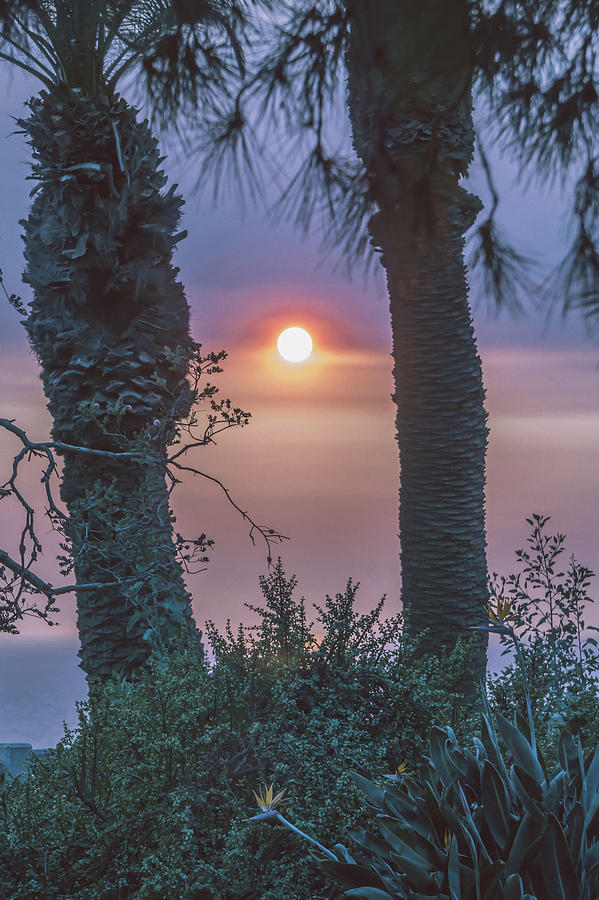 Beautiful Sunset In Santa Monica California #2 Photograph by Alex Grichenko