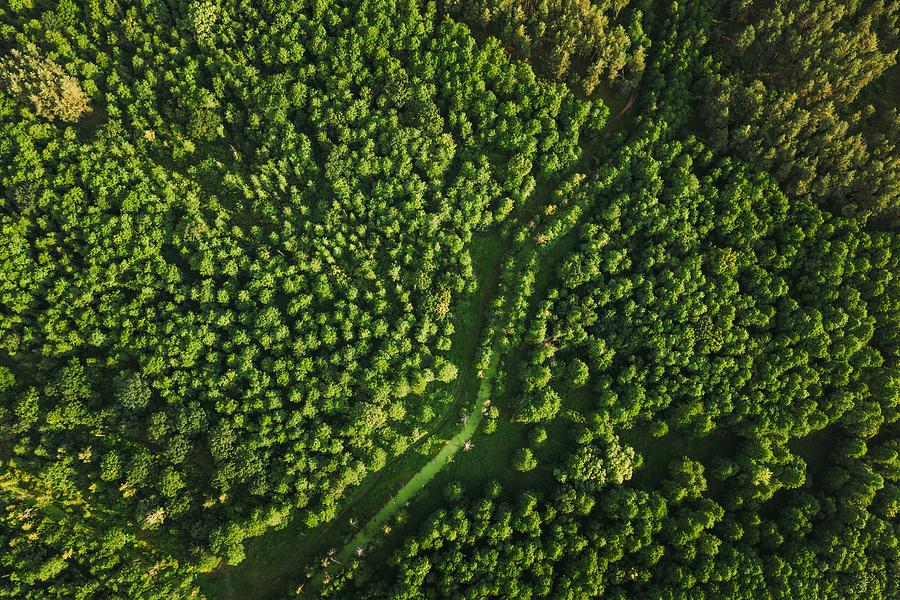 Nature Photograph - Belarus. Aerial View Of Green Small Bog #2 by Ryhor Bruyeu