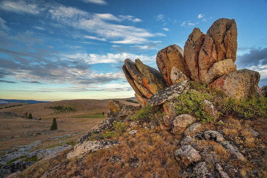 Bighorn Granite  #2 Photograph by Leland D Howard