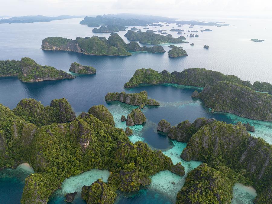 Biodiverse Coral Reefs Surround Photograph By Ethan Daniels - Fine Art 