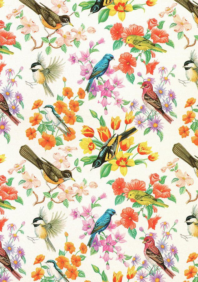 Spring Drawing - Bird pattern #2 by CSA Images