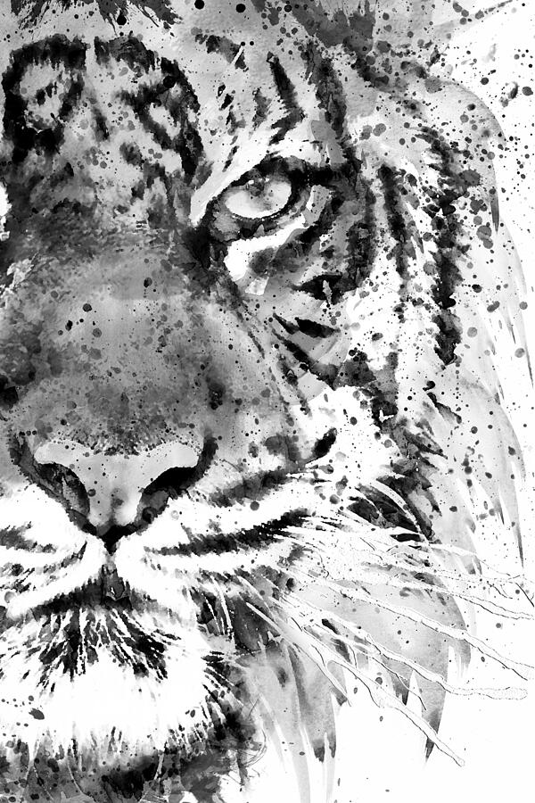 Black And White Painting - Black And White Half Faced Tiger #1 by Marian Voicu