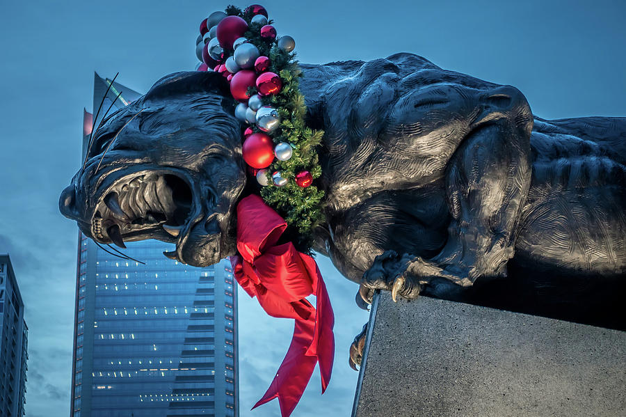 Black Panther Statue Decorated In Christmas Wreath In Charlotte  #2 Photograph by Alex Grichenko