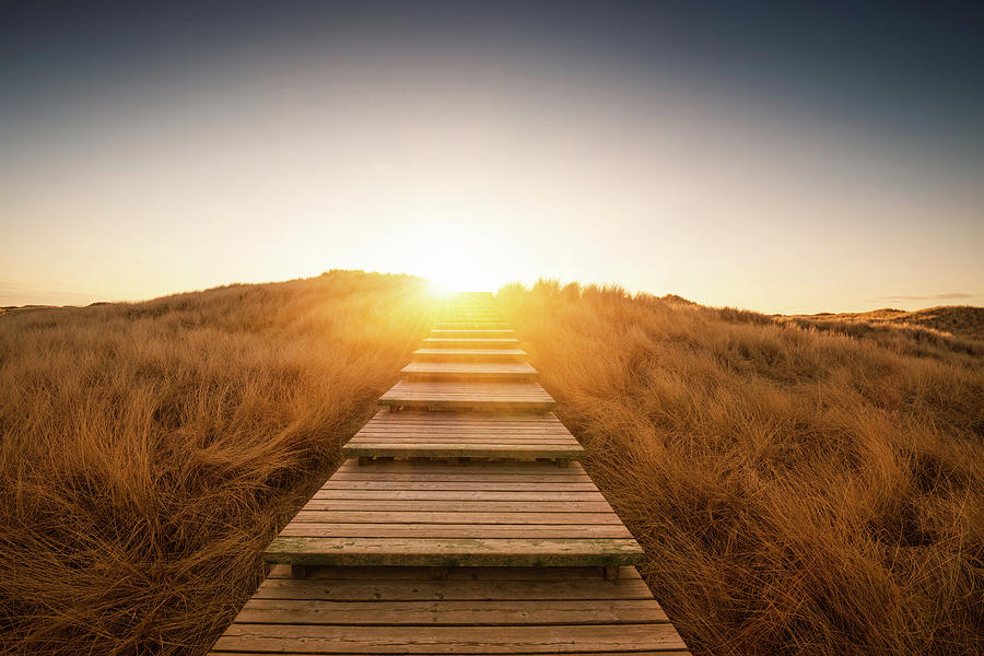 Boardwalk Through The Dunes #2 Photograph by Ppampicture