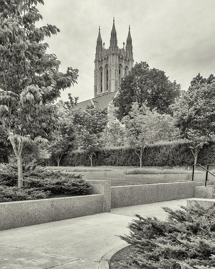 Boston College In Chestnut Hill #2 Photograph by Panoramic Images