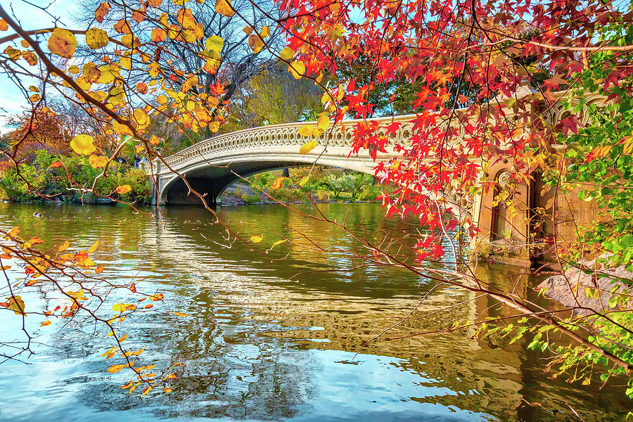 Bow Bridge In Central Park, Manhattan #2 Digital Art by Claudia Uripos