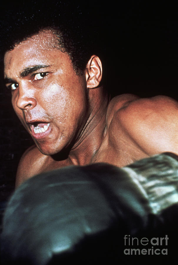 Boxer Muhammad Ali #2 Photograph by Bettmann