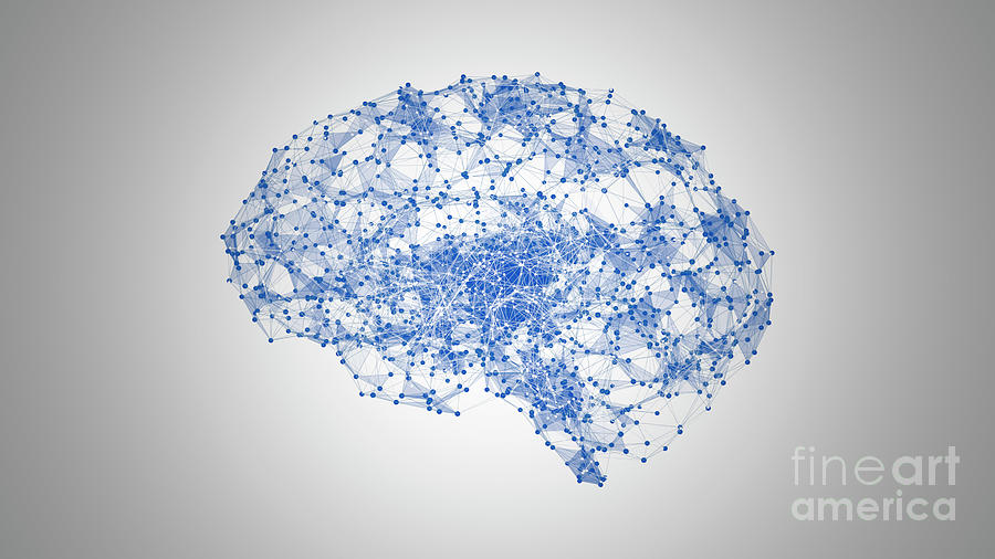 Brain Neural Network #2 Photograph by Jesper Klausen/science Photo Library