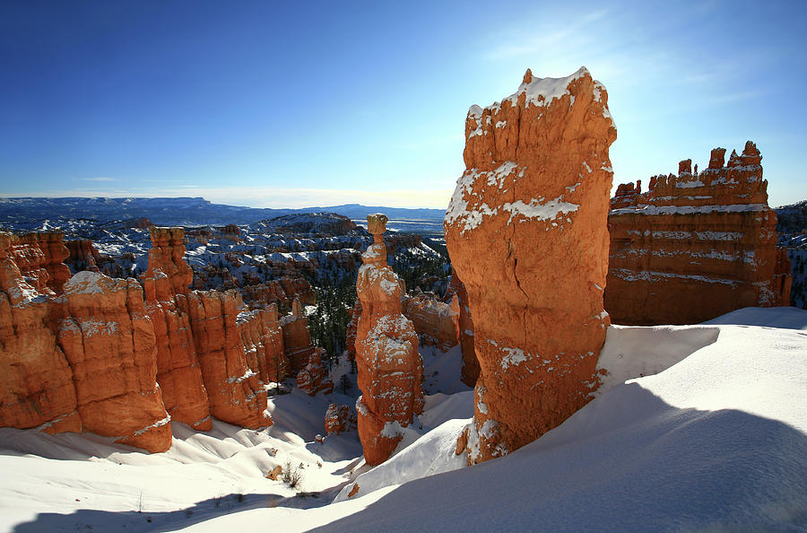 Bryce Canyon In Winter #2 Photograph by Imaginegolf